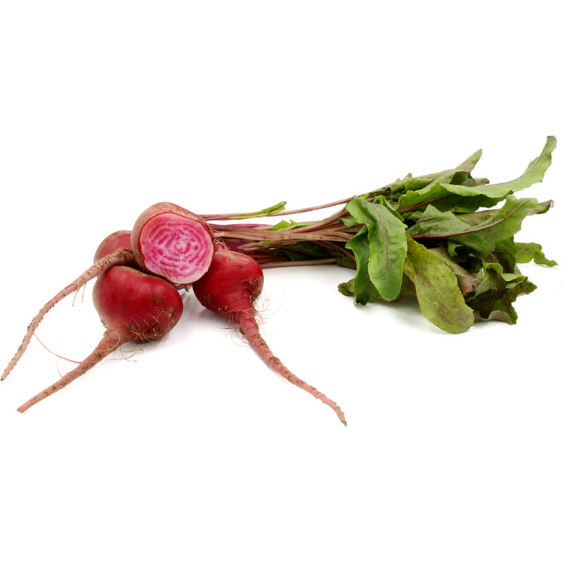 Baby Chioggia beetroot