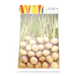 Chilled Baby Turnip   蕪菁仔  Selected By Cff