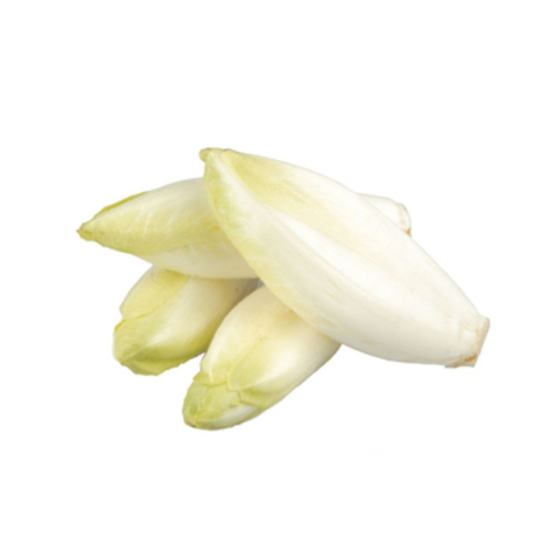 Baby Chicory/Endive