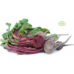 Baby Beetroot Red