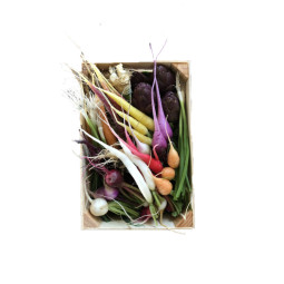 Baby Vegetables Selection Le Jardin Des Roys