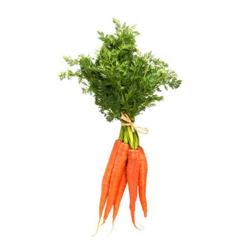 Chilled Carrot In Tray  Cal 40-20    甘筍  Selected By Cff