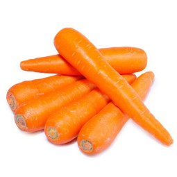 Organic Carrot 蘿蔔