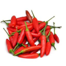 Chilli Bird Eyes Red  Selected By Cff