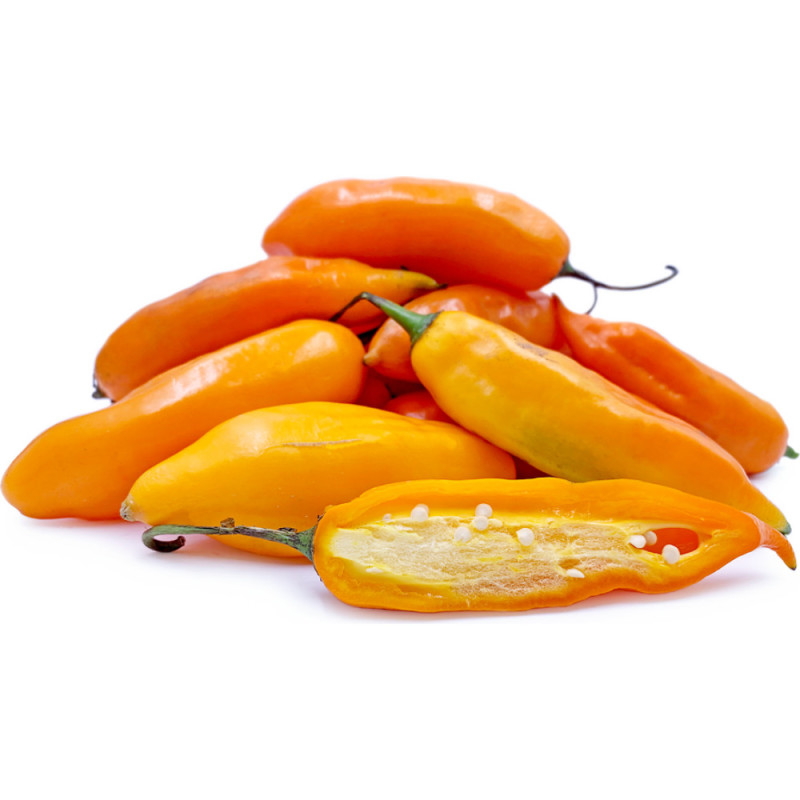 Chilli Aji Amarillo