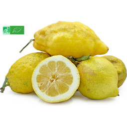 Lemon Cedrat Baches