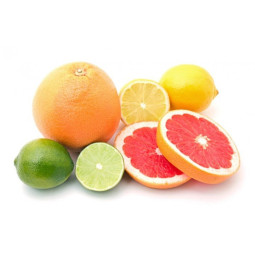 Mixed Citrus Of the Moment Baches