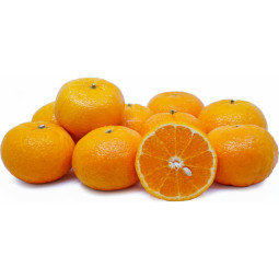 Mandarin / Clementine Orri - Cal 2x