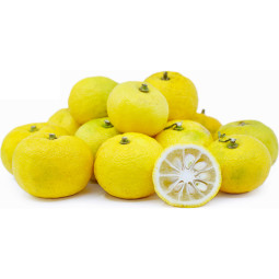 Yuzu Lemon "L'Agrumiste"  Perrine & Etienne