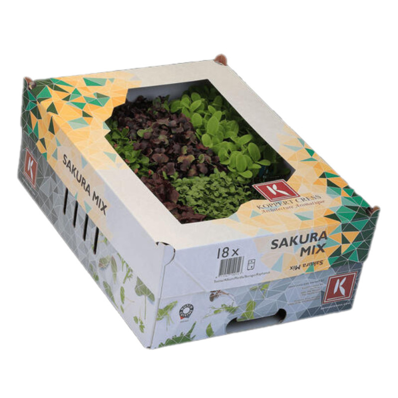 Sakura Mix Cress  Koppert Cress