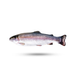 Chilled Rainbow Trout 法國冰鮮養殖虹鱒魚 300  400 克  Selected By Cff