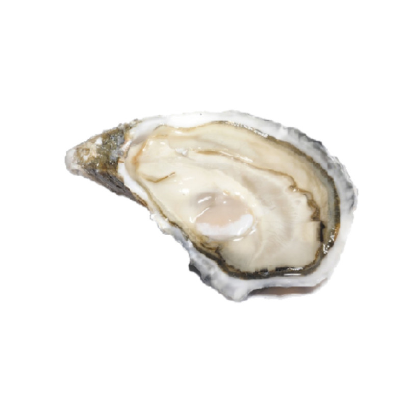 Chilled Oyster Special Ancelin No.4    法國安莎蓮蠔  Selected By Cff