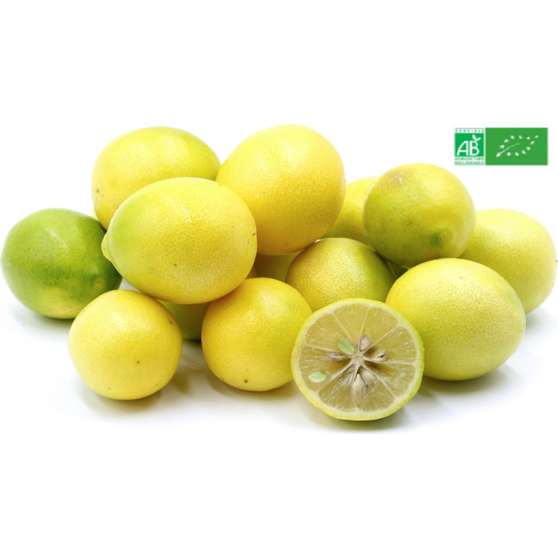 Limequat Lemon Baches