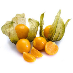 Chilled Physalis By Air   燈籠果  Selected By Cff