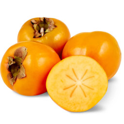 Kaki Persimon