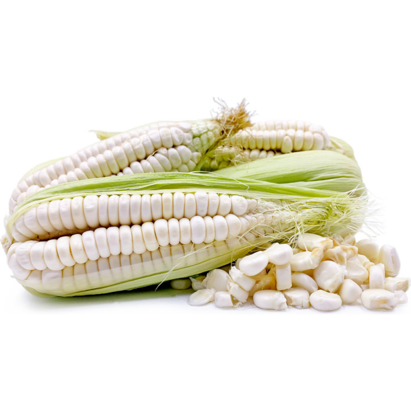 White Corn Morado