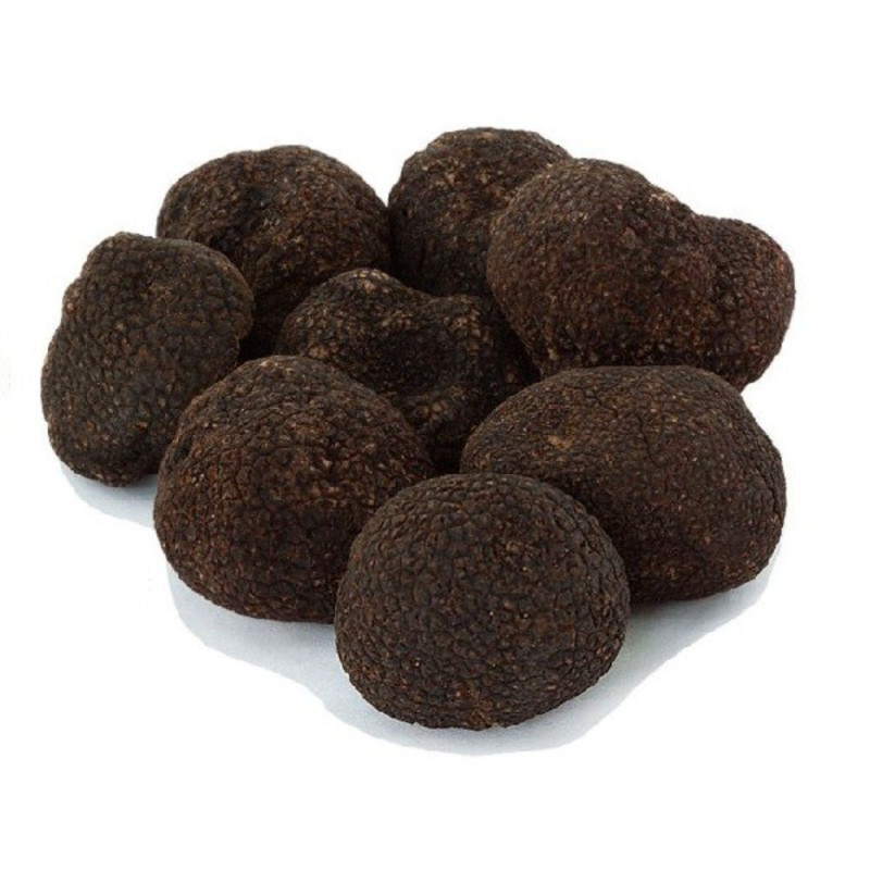 Black Truffle  - First  Class 20G+