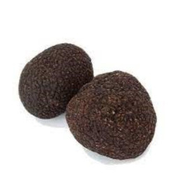 Black Truffle  - Second  Class 8G-14G