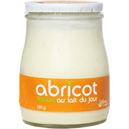 Apricot Blended Yogurt 杏桃攪拌型乳酪