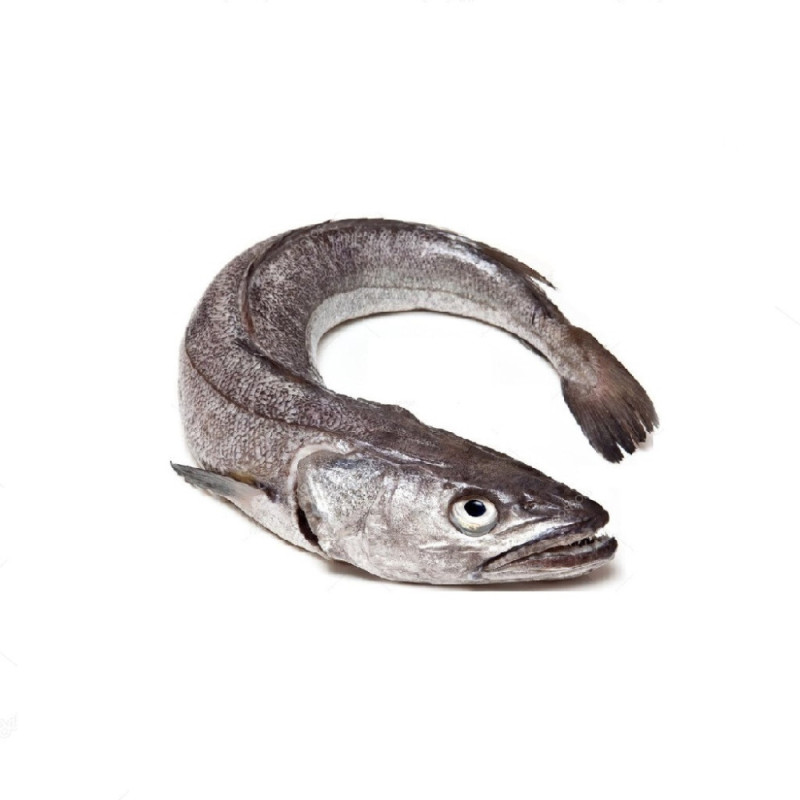 Hake whole 狗鱈 Hake whole 狗鱈