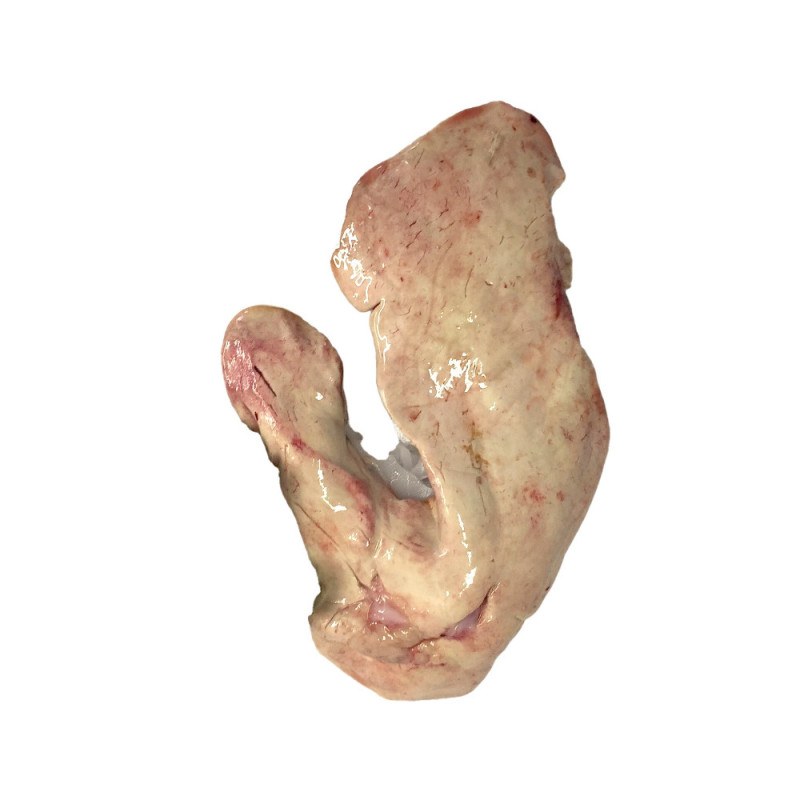 Monk liver鮟鱇魚肝