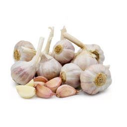 Chilled Pink Garlic Lautrec  Cal 70/60    紅蒜  Selected By Cff