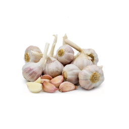 Pink Garlic - Cal 55+