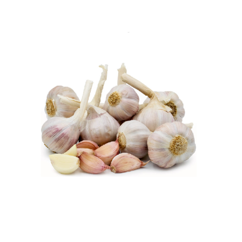 Pink Garlic - Cal 55+