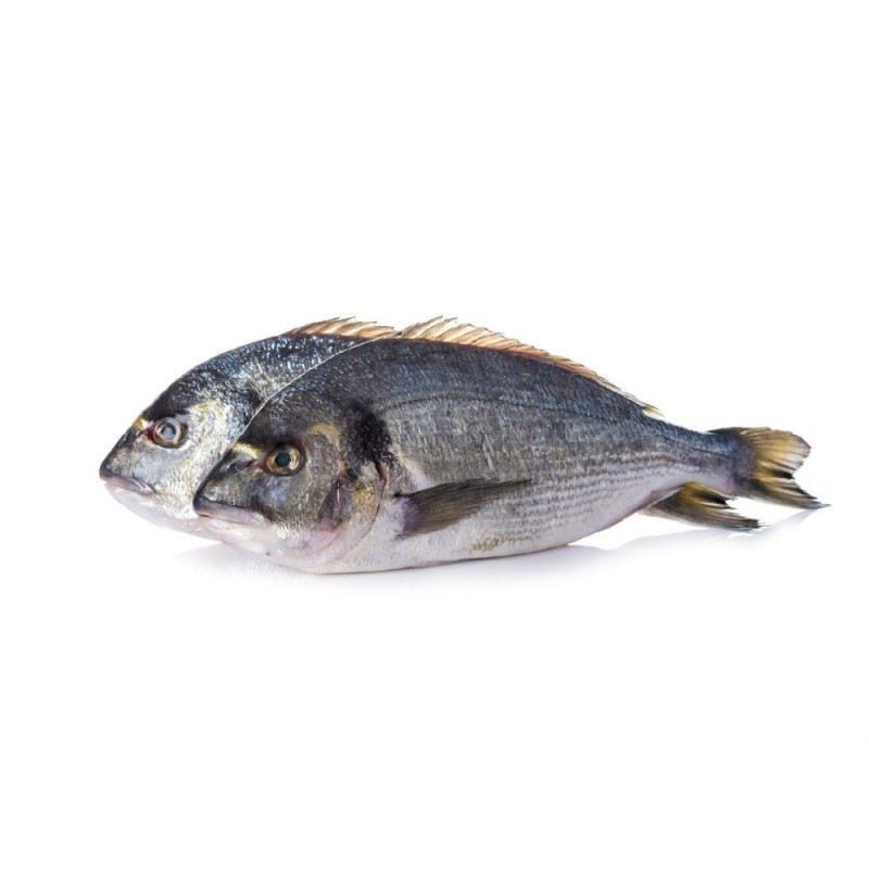 Chilled French Farmed Seabream 法國養殖鱸魚  Aquanord