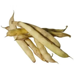 White Coco Beans From Mollans