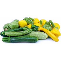 Mixed Varieties Of Zucchini