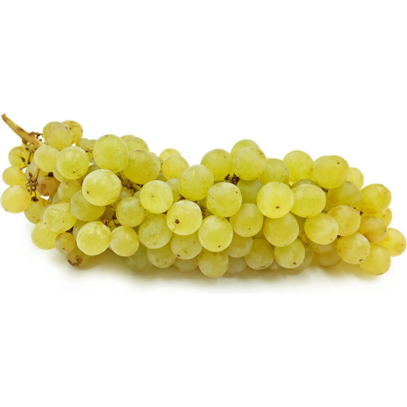 White Seedless Grape