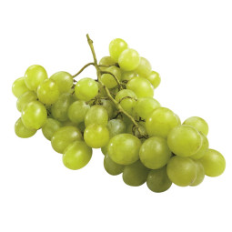 White Grape - Italia