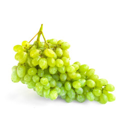 Seedless Centennial White Grape  Selected By Cff