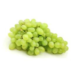 White Grape Vittoria