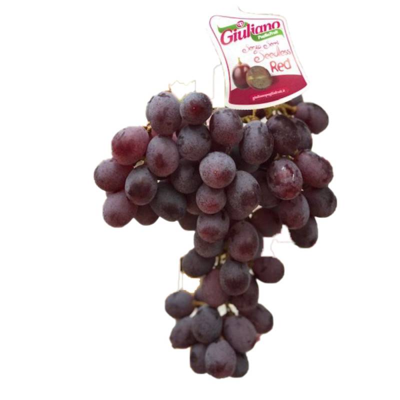 Seedless Pink Grape - Giuliano