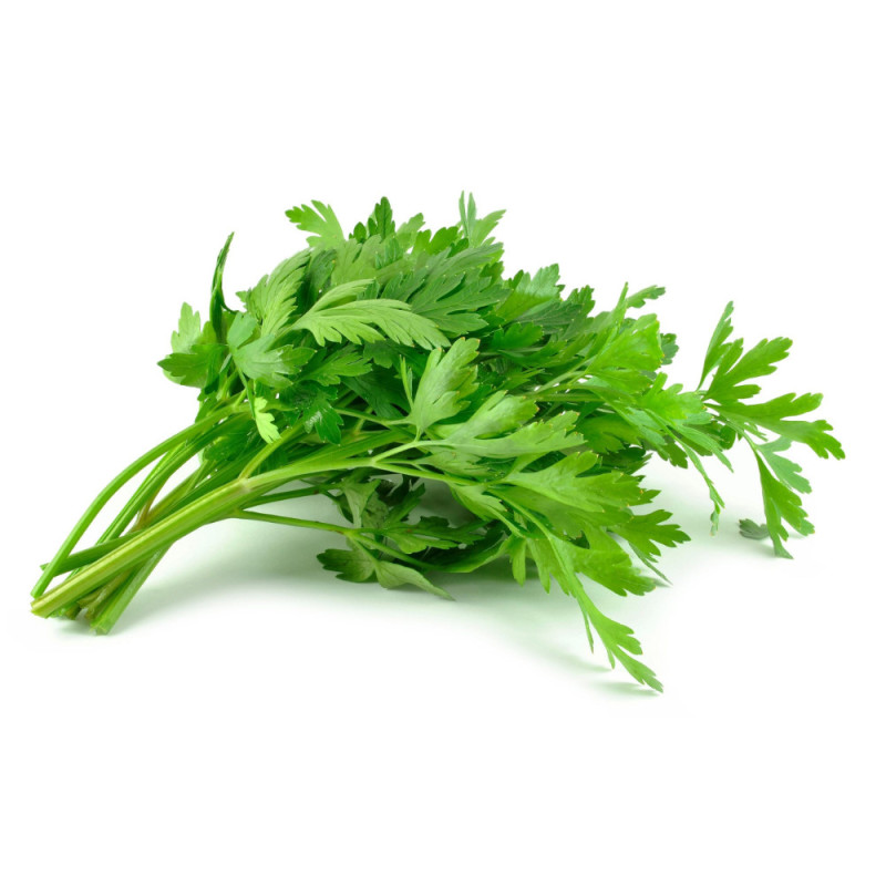 Chilled Herb  Parsley Plat    平葉香芹  Selected By Cff