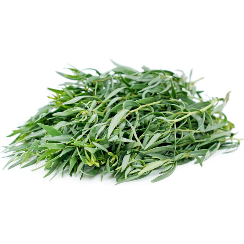 Chilled Herb Tarragon    龍蒿  Selected By Cff