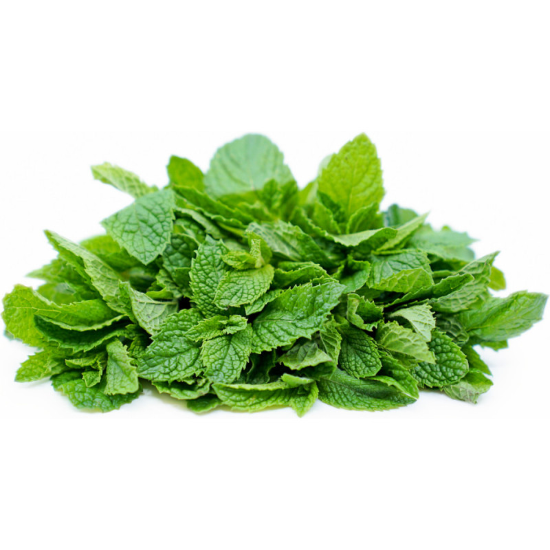 Chilled Herb  Mint    薄荷葉  Selected By Cff