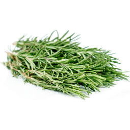 Chilled Herb  Rosemary    迷迭香  Selected By Cff