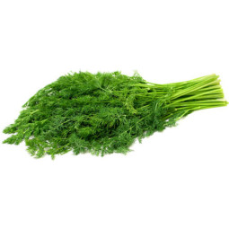 Chilled Herb  Dill    刁草  Selected By Cff