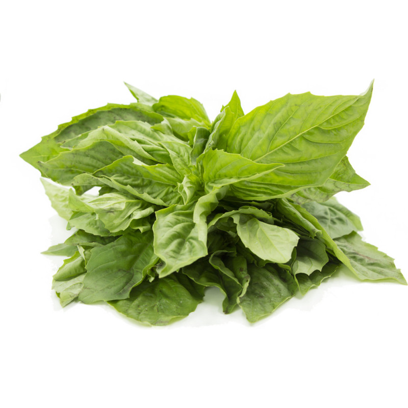 Chilled Herb  Basil    蘿勒  Selected By Cff