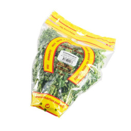 Chilled Herb  Coriander   芫荽  Selected By Cff