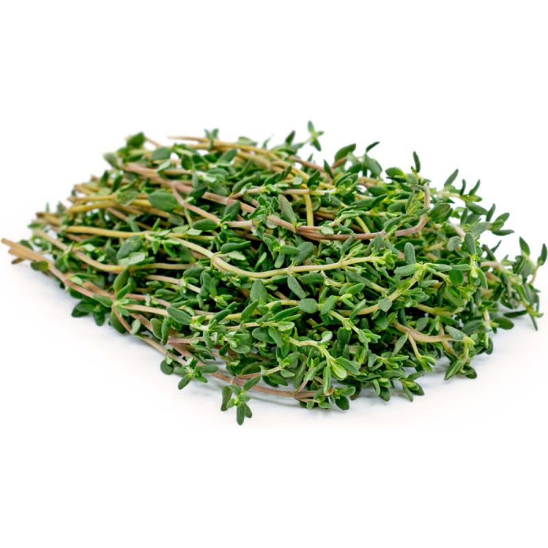 Chilled Herb  Thyme    百里香  Selected By Cff