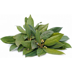 Chilled Herb  Bay Leaves   月桂  Selected By Cff