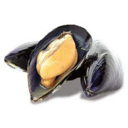 Chilled Live Blue Mussels Kinkawooka   南澳洲新鮮藍青口  Selected By Cff