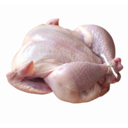 Chilled Le Guellier  Whole Red Partridge Without Feather Le Guelier