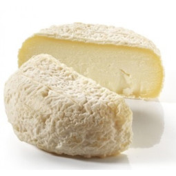 Chilled Cheese  Picodon Aop  Les Freres Marchand