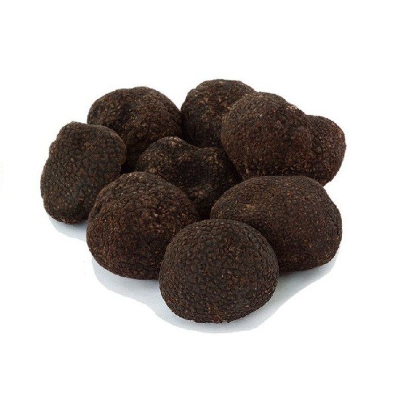 Italian Fresh Black Truffle Whole - 1st choix