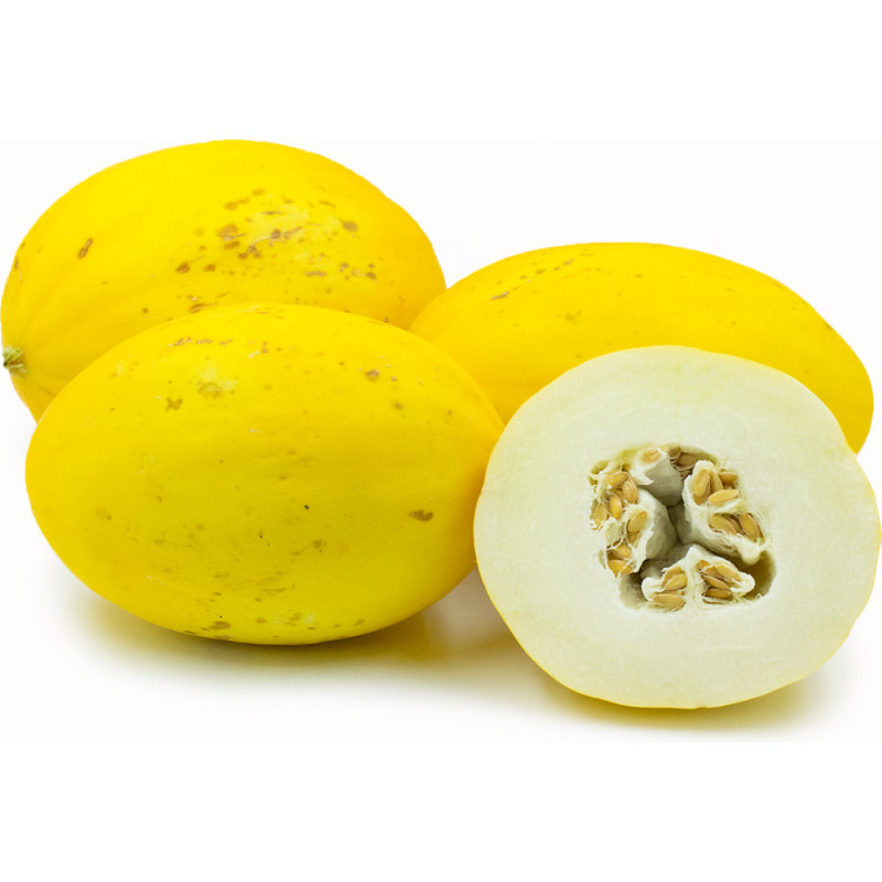 Canari Yellow Melon "Bouquet"